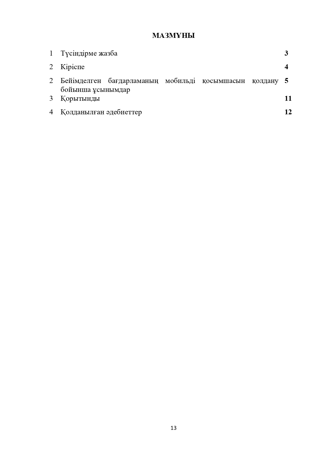 Стр 13